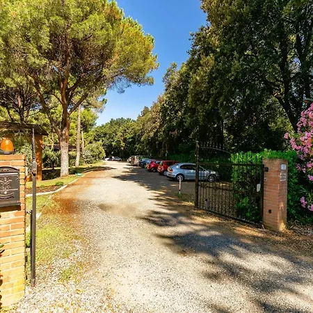 With Swimming-pool In Surrounded By Nature