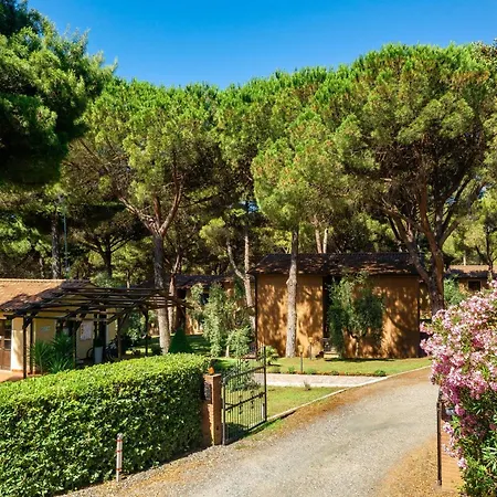 With Swimming-pool In Surrounded By Nature